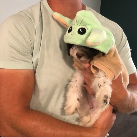 Dog Baby Yoda Pet Costume Poshmark
